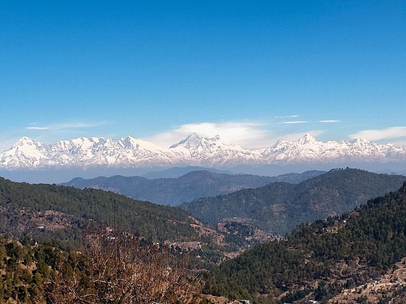 The Pahadi Nest Mukteshwar Hotel Bagian luar foto